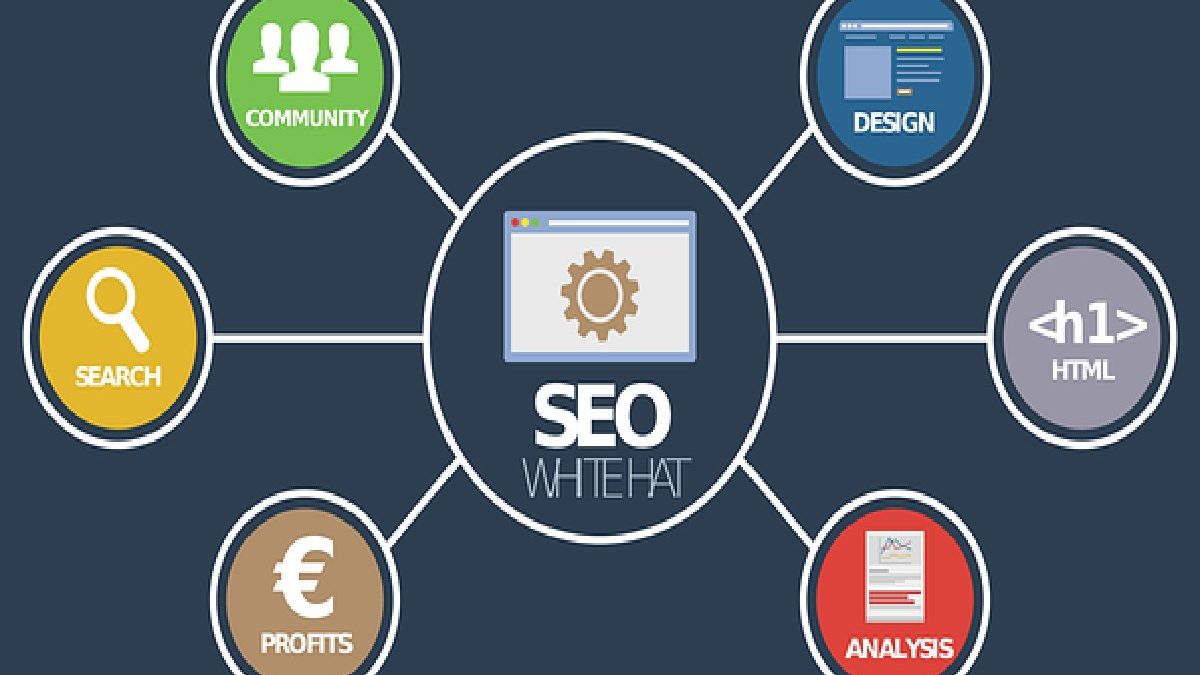 SEO Features : Functions, Strategy, Experience, and More