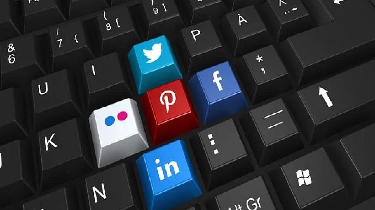 Search Engine: Definition, Work, Search, and More