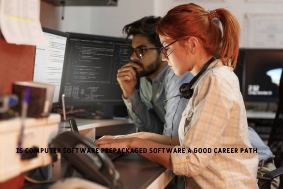 is computer software prepackaged software a good career path
