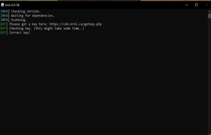 What Is Krnl Key_