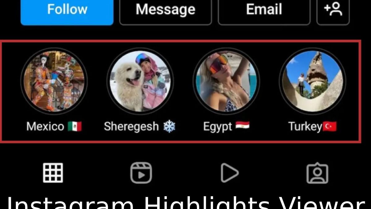 How to Check Instagram Highlights Viewer (2024)